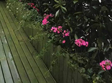 陽臺綠化B