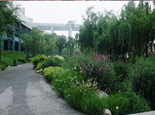 花園養(yǎng)護